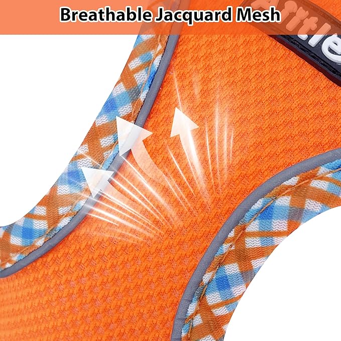 AIITLE XXS Dog Harness & Leash Set - Breathable Reflective No-Choke Small Dog Harness for Teacup Puppies, Indoor/Outdoor Use - Boston Terrier, Maltese, Chihuahua (Orange, XXS)