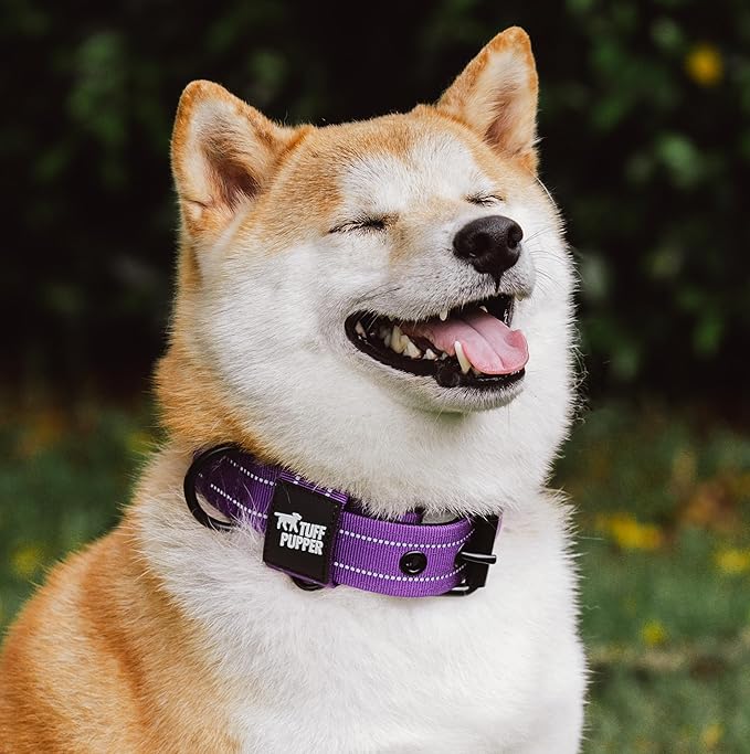 Tuff Pupper Heavy Duty Tactical Dog Collar | 1.5" Wide Ballistic Nylon | Reflective Stitching | Integrated ID Tag Holder | Stainless Steel Buckle | Padded Lining | Medium & Large Dogs (Purple, Medium)
