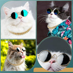 Xuniea 2 Pieces Cat Dog Chain Collar and Sunglasses Set Rhinestone Necklace with Secure Buckle Round Glasses for Doll Cat Dog Pet Accessories(14 Inch,Gold, Black)
