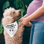 Realeaf Baby Security in Training Dog Bandanas Pet Scarf for Large and XLarge Dogs Pregnancy Announcement Pet Accessories Pregnancy Reveal Ideas (Baby Security in Training, X-Large)