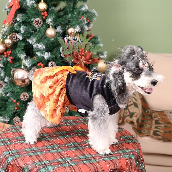 CuteBone Thanksgiving Dog Fall Dresses Costume Velvet Holiday Small Dogs Clothes Onesie Pet Apparel Girl Puppy Skirt with Bow Hair Rope CVA52XXS-D