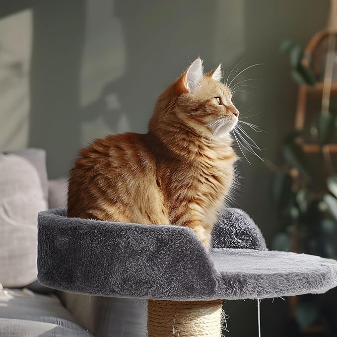 2 Pcs 13.39 Inches Semi Edged Cat Tree Replacement Parts Cat Tree Tower Accessories with Hanging Elastic Strings Pom Pom Toys for Platform Perch Shelves(Gray)
