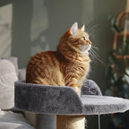 2 Pcs 13.39 Inches Semi Edged Cat Tree Replacement Parts Cat Tree Tower Accessories with Hanging Elastic Strings Pom Pom Toys for Platform Perch Shelves(Gray)