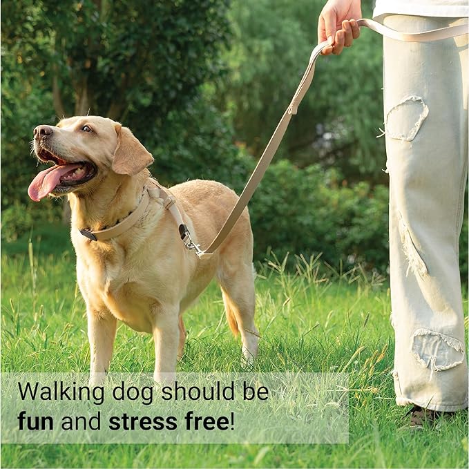 SVD.PET Dog Prong Collar for No-Pull Training, Quick-Release Buckle Adjustable Pinch Collar for Large Dogs (Tan, Large Size)