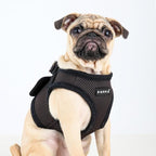 PUPPIA International Harness Soft B Vest, X-Small, Brown