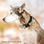 If It Barks - 1.5" Reflective Martingale Collar for Dogs - Adjustable - Made in USA - Strong, Durable, and Comfy - Ideal for Training - Suitable for Most Breeds - Medium, Navy