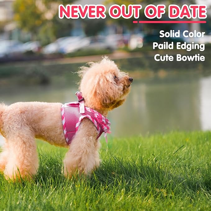PUPTECK Dog Harness for Puppy and Small Sized Dogs, Step-in No Pull Soft Mesh Vest Harness for Cats Small Pets Walking, Fuschia, New S