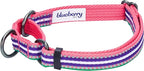 Blueberry Pet 4 Colors 3M Reflective Multi-Colored Stripe Martingale Safety Training Dog Collar, Pink Emerald and Orchid, Small, Heavy Duty Adjustable Collars for Dogs