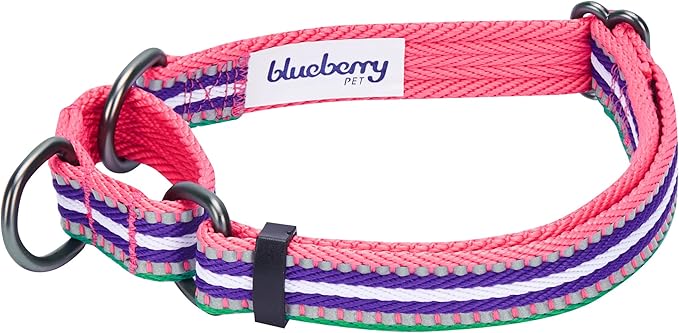 Blueberry Pet 4 Colors 3M Reflective Multi-Colored Stripe Martingale Safety Training Dog Collar, Pink Emerald and Orchid, Large, Heavy Duty Adjustable Collars for Dogs