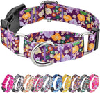 Hikiko Martingale Collar for Dogs Cute Floral Dog Collar for Small Medium Large Dogs Special Design Fancy Dog Collars for Girl Boy Pet (Purple Flower,Small)