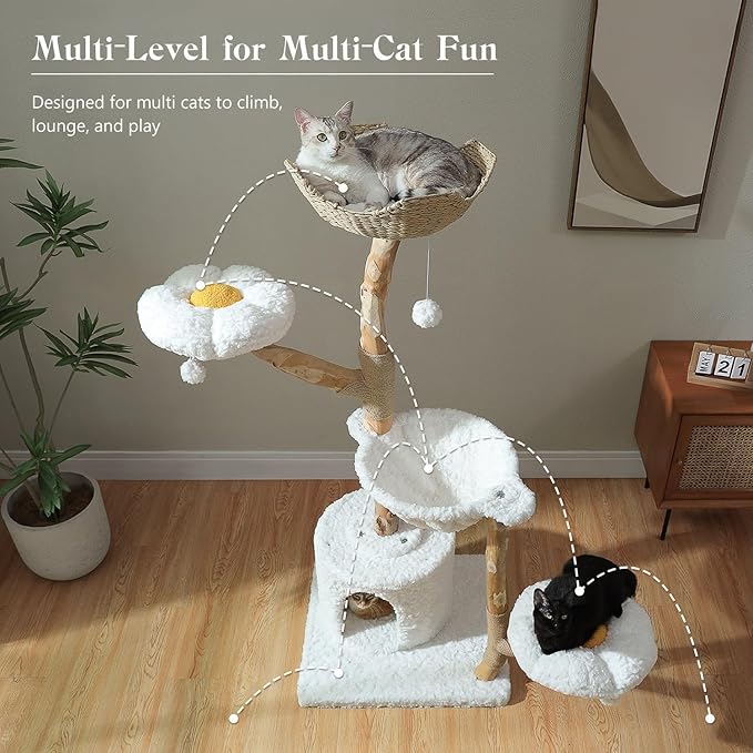 Cat Tree for Indoor Cats Large Adults, 59 Inches Modern Cat Tower with Large Basket and Hammock, Natural Solid Wood, Luxury Condo & Dual Perches, Modern Cat Furniture for Big Cats, White