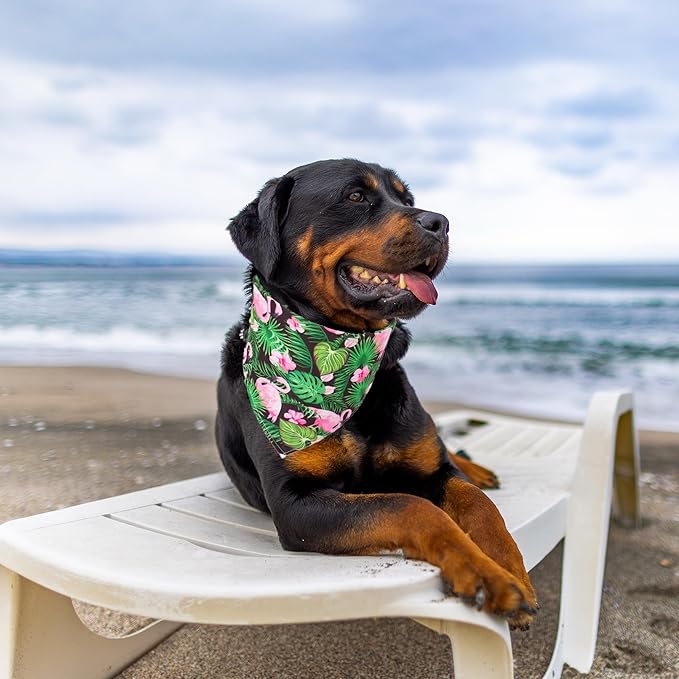 ADOGGYGO Summer Hawaii Dog Bandana, 6 Pack Flamingo & Fruit Pattern Triangle Summer Bandanas for Extra Large Dogs Pets (X-Large)