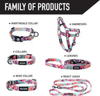 Wolfgang Heavy Duty Martingale Dog Collar with Quick Release Nylon Buckle for Walking & Training, DigiFloral Print, Medium