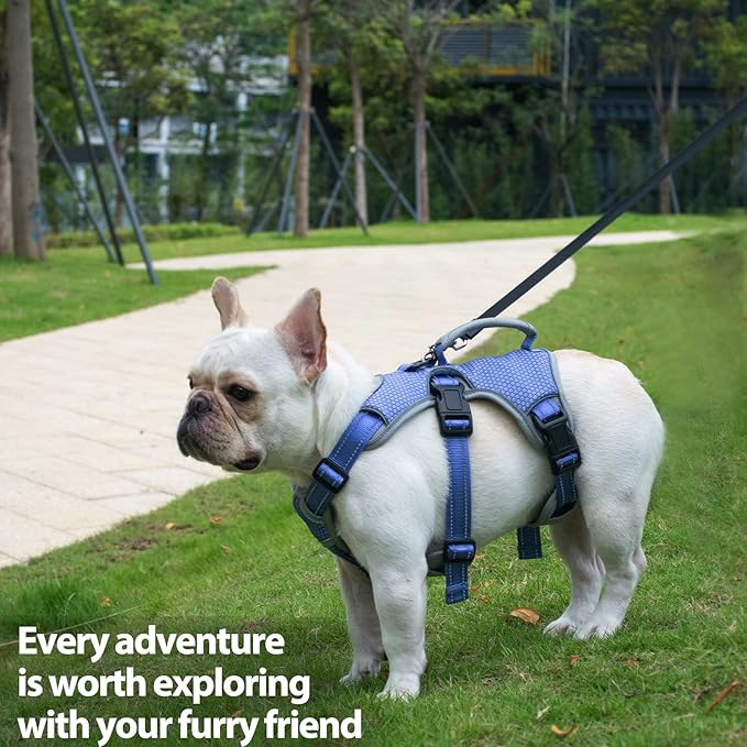 Huntboo Escape Proof Dog Harness, Escape Artist Harness, Reflective Dog Harness with Handle, Durable,Adjustable Vest for Small Medium Large Dogs Walking, Training, and Running Gear(Technicolor Blue,S)