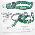 Lucky Love Dog Martingale Collar and Leash Set, Premium No Slip Martingale Collar for Small Boy Dogs, Great for Whippets, Greyhounds, and More (Small, Blue Laguna - Combo)