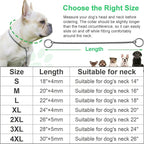 Dog P Snake Chain Chrome Plated Metal Dog Training Choke/Collar-Fully Guaranteed Against Rust Tarnish or Breakage-Recommended for Professional Training (Golden, 4mm * 24")
