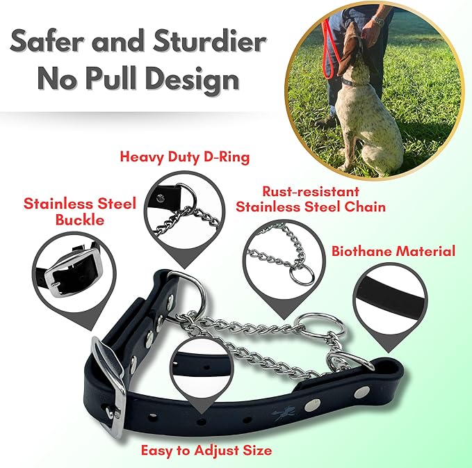 Martingale Collar for Dogs, Biothane, Stainless Steel Hardware, No Pull, Made in The USA, Professional Grade, XXL, Black