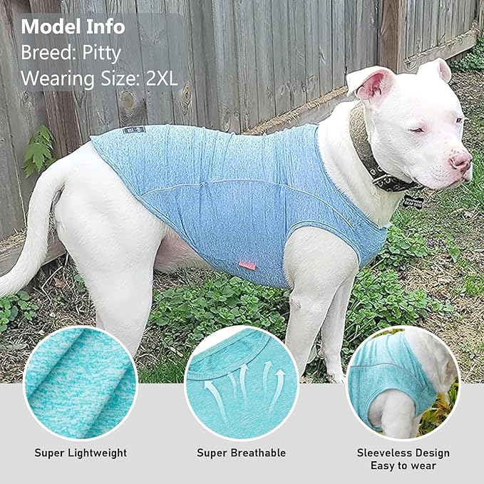 KYEESE 2Pack Reflective Dog Shirt, Lightweight Sun Protection Dog T Shirts for Small Dogs, Breathable Sleeveless Puppy Tank Top Summer Dogs Clothes for Night Walking Outdoor, Lake Blue+Rose Red, S