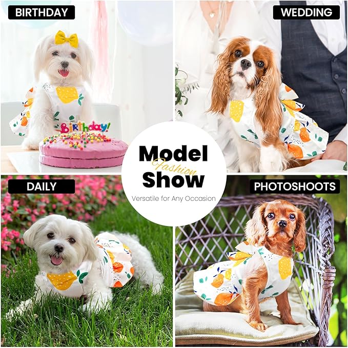 Cute Dog Dress Small Dog Clothes for Girls Female Puppy Outfits Yellow Lemon Pet Summer Clothes Bowknot Doggy Cat Princess Dress Harness for Holiday Birthday Party Costume Clothing (Yellow,XS)