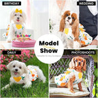 Cute Dog Dress Small Dog Clothes for Girls Female Puppy Outfits Yellow Lemon Pet Summer Clothes Bowknot Doggy Cat Princess Dress Harness for Holiday Birthday Party Costume Clothing (Yellow,XL)