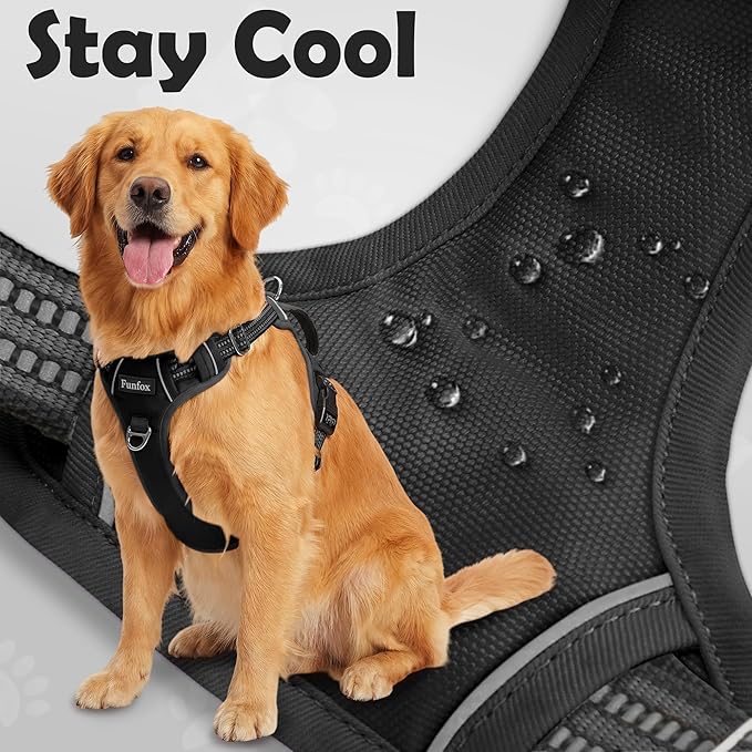 Funfox Dog Harness Medium Sized Dog, Vertical Handle Easy Control, No Pull Pet Vest Adjustable with 2 Leash Clips, Soft Material, Reflective Safe Night Walking for Small Medium Large Breed, Black, M