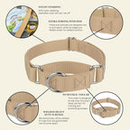 Country Brook Petz - Martingale Dog Collar - Heavy-Duty Training Collar with No Buckle - Service Dog Collar for All Pups - 10+ Warm Colors (Copper Gold, 3/8 Inch, 2XS)