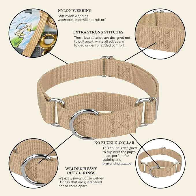 Country Brook Petz - Martingale Dog Collar - Heavy-Duty Training Collar with No Buckle - Service Dog Collar for All Pups - 10+ Warm Colors (Copper Gold, 3/4 Inch, Small)