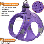 Dog Harness with Leash Set, No-Pull Step-in Reflective Pet Harness with 1 Leash Clips, Adjustable Soft Padded Easy Walk Dog Vest for Small Medium Large Dogs, Cats(Light Purple, Medium)