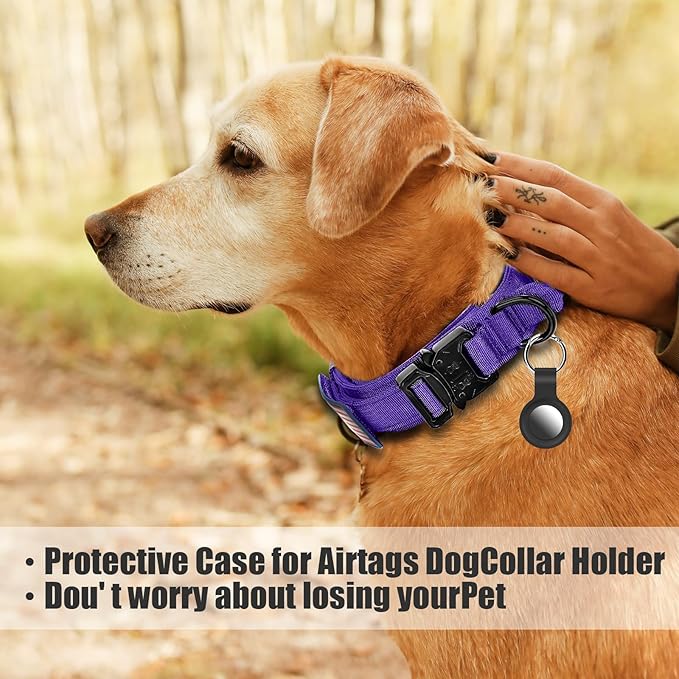 Tactical Dog Collar and Bungee Leash,Military Dog Collar & Leash Set with USA American Flag Adjustable K9 Collar with Heavy Duty Metal Buckle & Handle,with Patches and Airtags Case (Purple, M)