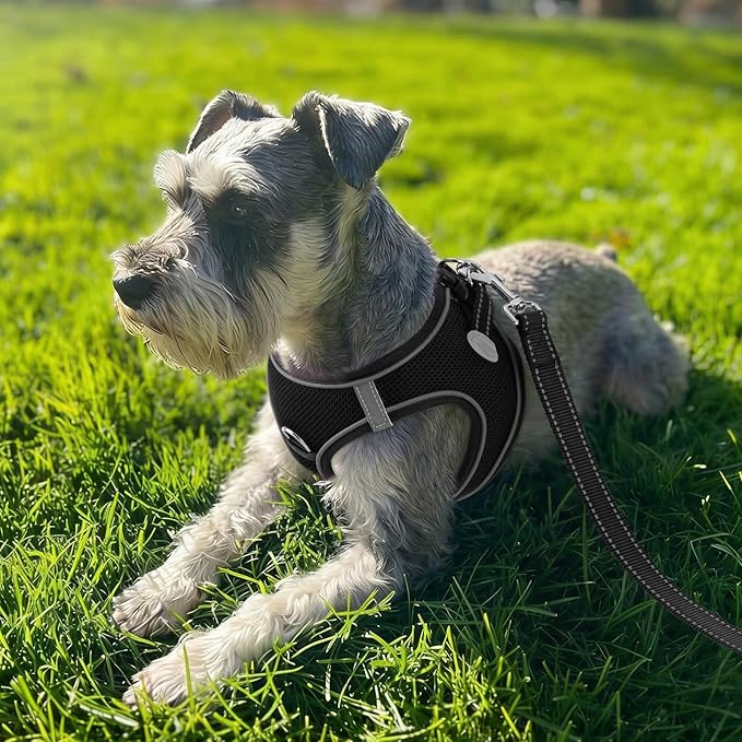 Joytale Small Dog Harness, Breathable Mesh Step-in Vest, Reflective Soft Padded Harnesses Small Sized Dog for Walking, Black, S