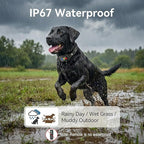 Remote Dog Training Collar for 10–120lbs Dogs – 3300ft Range, Beep, Vibration & Safe Shock Modes, IP67 Waterproof, Rechargeable for Obedience & Recall Training