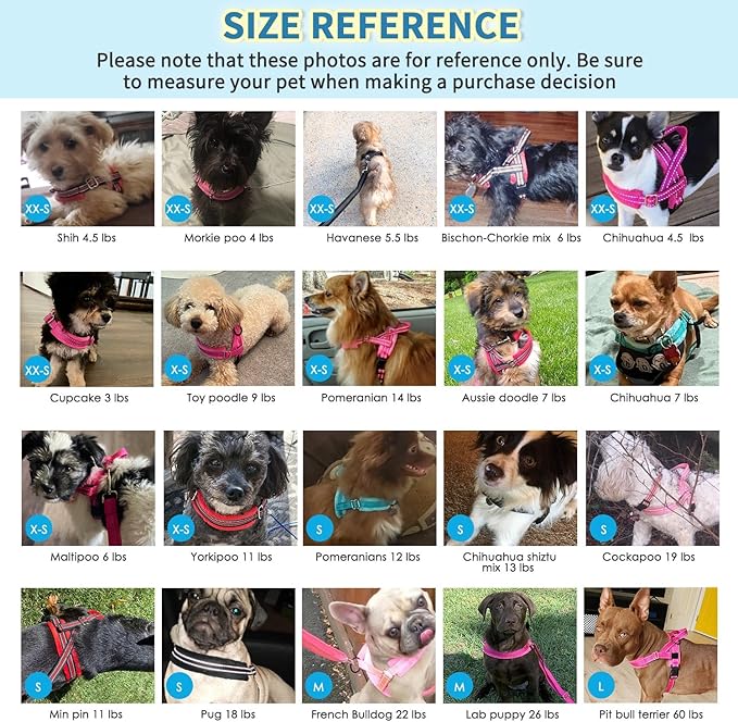 Lukovee No Pull Dog Harness and Leash Set, Soft Padded Small Dog Harness, Neck & Chest Adjustable Reflective Vest Puppy Harness with 4ft Lightweight Anti-Twist Dog Leash for Small Dogs (XXS, Green)