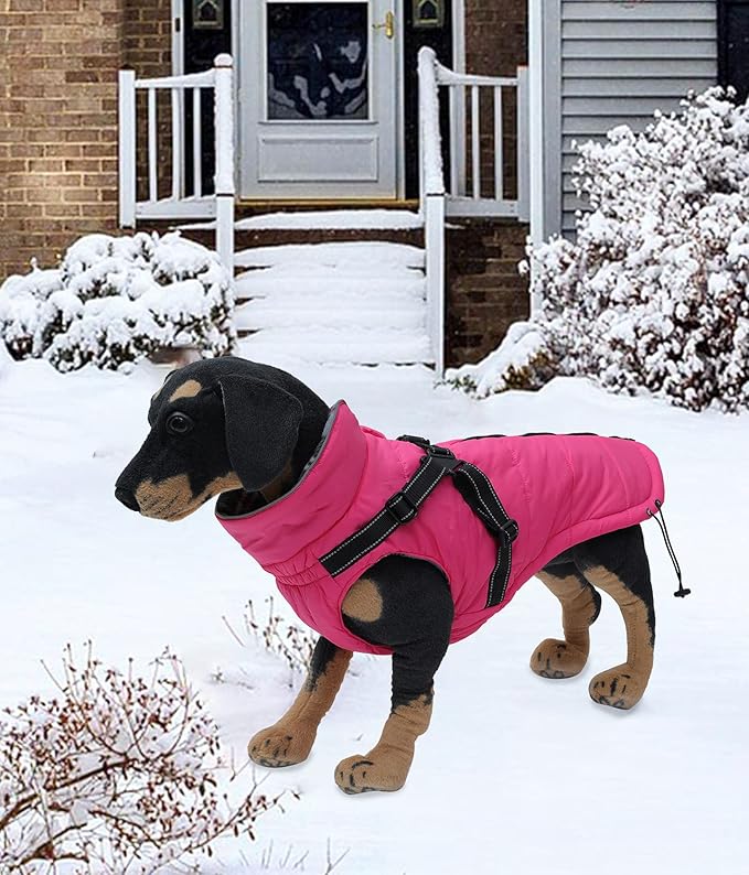 Winter Warm Coat Geyecete Waterproof Jacket with Harness Traction Belt,Pet Outdoor Jacket Dog Autumn and Winter Clothes for Medium, Small Dog-Pink-M
