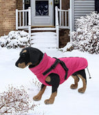 Geyecete Winter Warm Coat Waterproof Dog Winter Jacket with Harness Traction Belt,Pet Outdoor Jacket Dog Autumn and Winter Clothes for Medium, Small Dog-Pink-XS