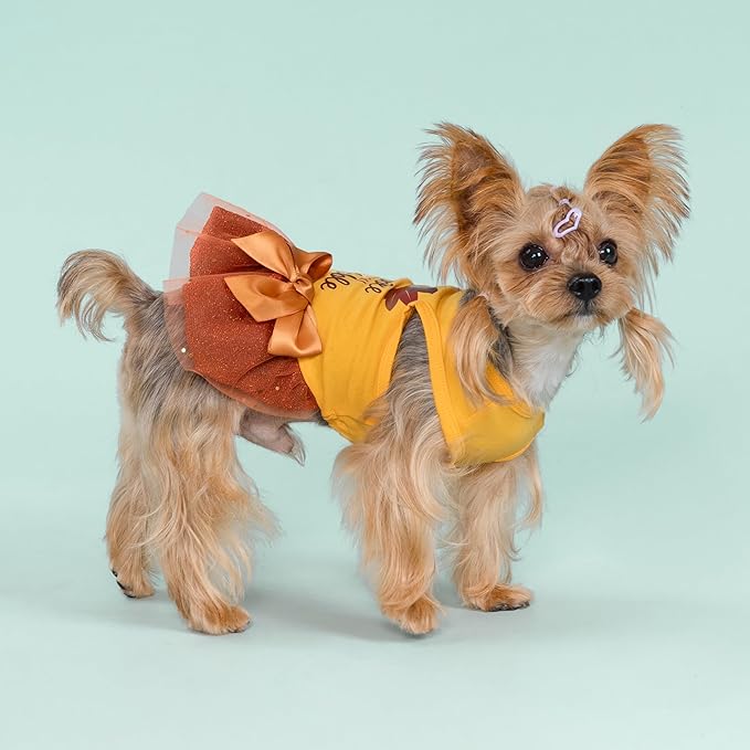 Fitwarm Gobble 'til You Wobble Dog Dress, Funny Thanksgiving Outfit for Small Dogs Girl, Festive Pet Clothes, Yellow, Orange, Large