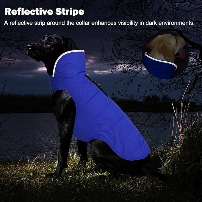 Dog Winter Coat, Waterproof Dog Jacket with Leash Hole, Reflective Adjustable Pet Snow Vest, Warm Fleece Sweater for Small Medium Large Dogs - Blue, XL