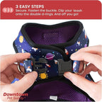 Downtown Pet Supply Step-in Dog Harness – No Pull, Adjustable Padded Mesh with Reflective Trim, Secure Buckle Strap – Comfortable & Breathable Small Dog Harness, XX-Small, Space