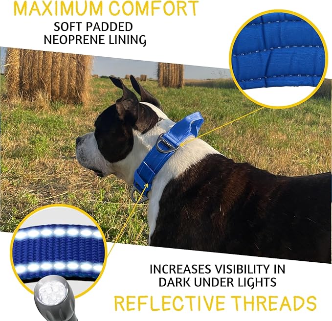 ADITYNA Heavy Duty Dog Collar for Large Dogs - Reflective Royal Blue Collar with Handle for Training, and Walking - Wide, Durable, Comfortable