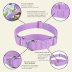 Country Brook Petz - Martingale Dog Collar - Heavy-Duty Training Collar with No Buckle - Service Dog Collar for All Pups - 10+ Cool Colors (Lavender, 5/8 Inch, Extra Small)
