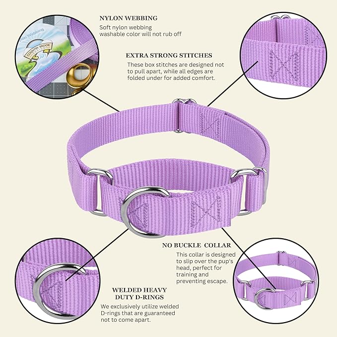 Country Brook Petz - Martingale Dog Collar - Heavy-Duty Training Collar with No Buckle - Service Dog Collar for All Pups - 10+ Cool Colors (Lavender, 1 Inch, Medium)