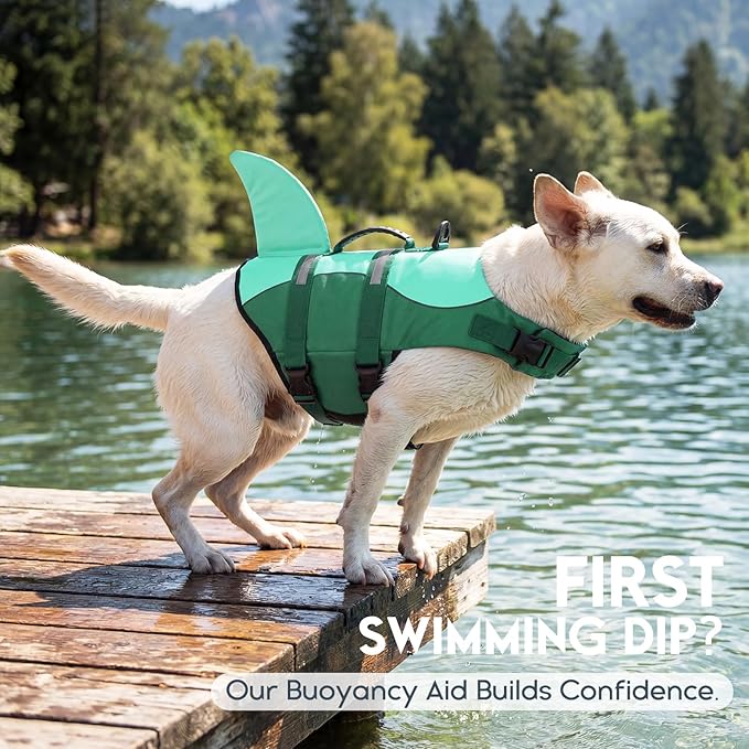 ASENKU Dog Life Jacket - Pet Safety Vest for Swimming & Boating, Shark Life Jacket with Floatation, Dog Lifesavers Swimsuits for Small Medium Large Dogs (MintMix, 2XL)