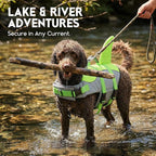 ASENKU Dog Life Jacket - Pet Safety Vest for Swimming & Boating, Shark Life Jacket with Floatation, Dog Lifesavers Swimsuits for Small Medium Large Dogs (Green, XL)