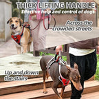 PUPTECK Escape Proof Dog Harness with Padded Handle, No Pull Pet Vest Harness Durable Reflective for Medium Large Dogs Walking Training and Running, Red, XL