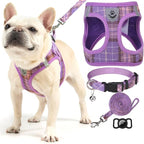 EXPAWLORER Classic Plaid Puppy Harness - Small Dog Harness and Leash Set - Dog Collar and Leash Set with AirTag Holder, Soft Padded Step in Dog Vest Harness No Pull Reflective for Outdoor, Purple XXS