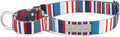 Lucky Love Dog Martingale Dog Collar - Adjustable, No-Slip, Durable, & Soft Webbing Collar for Male and Female Dogs Ideal for Training & Walking - Linus, Small