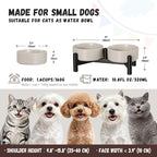 Raised Ceramic Dog Bowl Set - Elevated Double Dishes with Stainless Steel Stand - Food and Water Bowls for Small Dogs and Indoor Cats - Each Holds 1.6 Cups (10.8 fl oz) - Grey