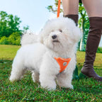 Hipubby Dog Harness and Leash Set, No Pull Soft Mesh Puppy Harness for Small Medium Dogs, Cats - Step in Reflective Breathable Lightweight Vest Harness for Walking, Training - Orange, M