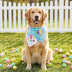 Easter Dog Bandanas 2PCS-Large,Adjustable Holiday Party Pets Rabbit Easter Egg Outfits,Triangle Reversible Pet Scarf for Boys and Girls,Dog Costume Gifts for Medium to Large Dogs