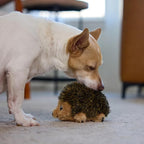 Outward Hound Hedgehogz Stuffed Dog Toy – Soft Plush Hedgehog, Squeaks, 6" x 4" x 4.5"