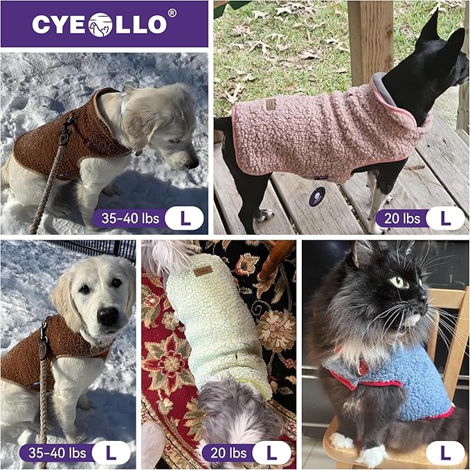 cyeollo Warm Dog Coat Sherpa Dog Winter Coat, Reversible Fleece Dogs Jackets Sweater Vest for Small Dogs Male with Leash Hole, Soft Cold Weather Pet Clothes, Rose Red L